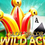 Wild Ace Slot: Sensasi Kecepatan dan Kemenangan di Setiap Putaran